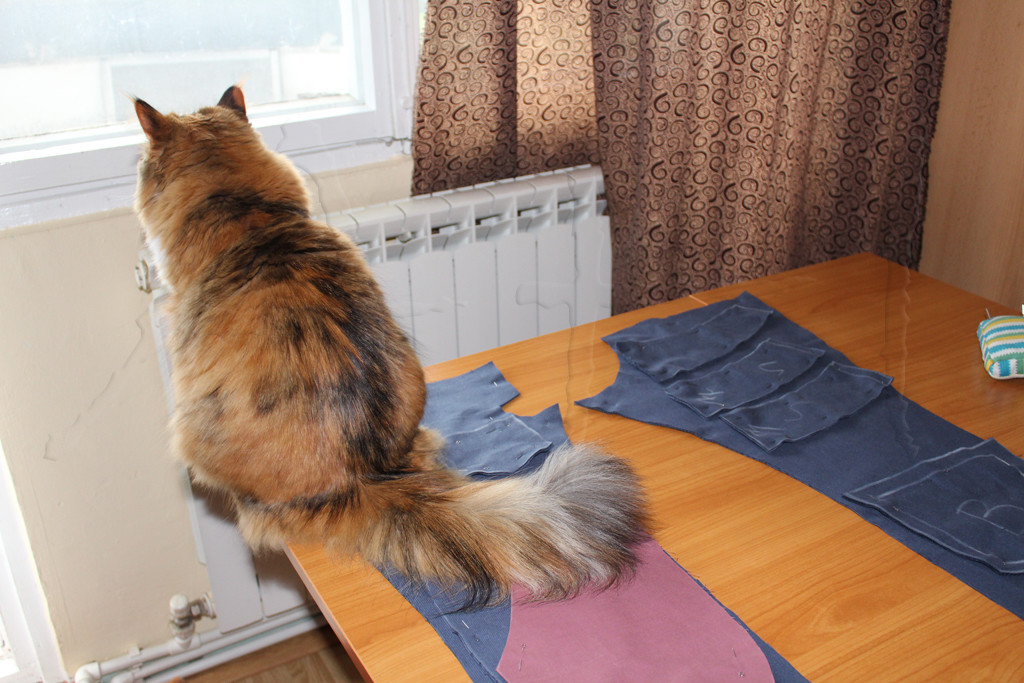 Cat hunting on my fabric