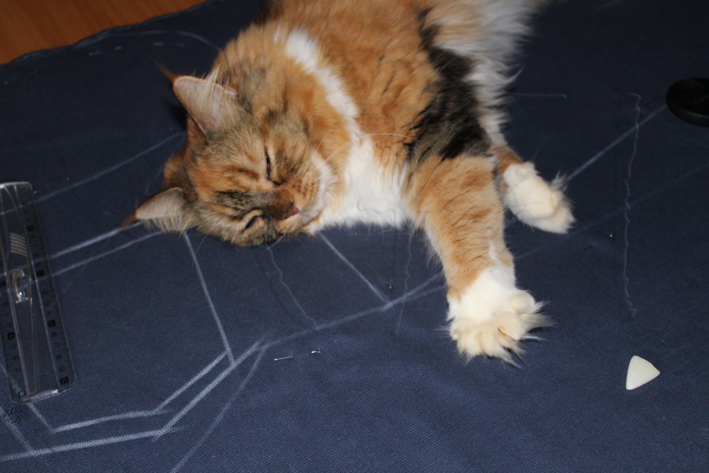 Cat sleeping on my fabric