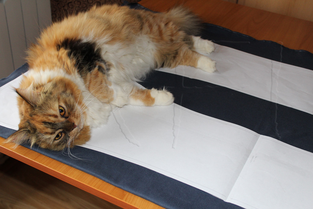 Afi Atelier Cat on fabric