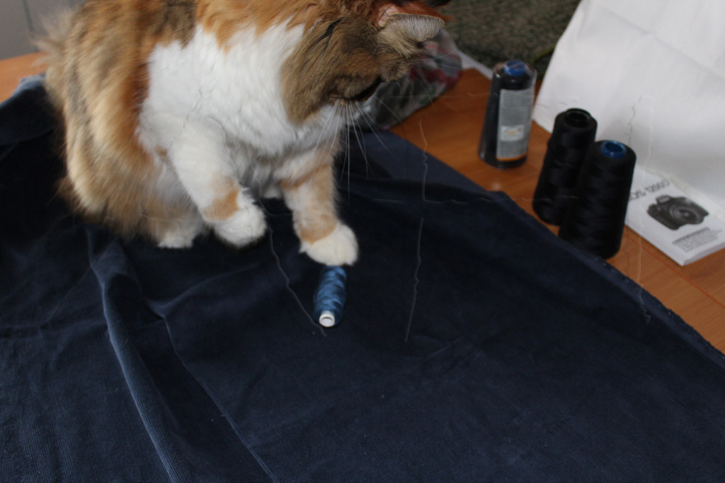 Sewing with cats