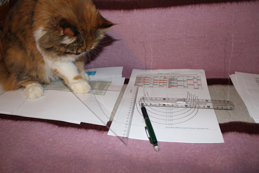 Drafting sewing patterns with cats